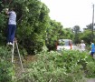 樹木の剪定作業にも挑戦