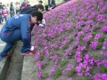 記念植栽の様子